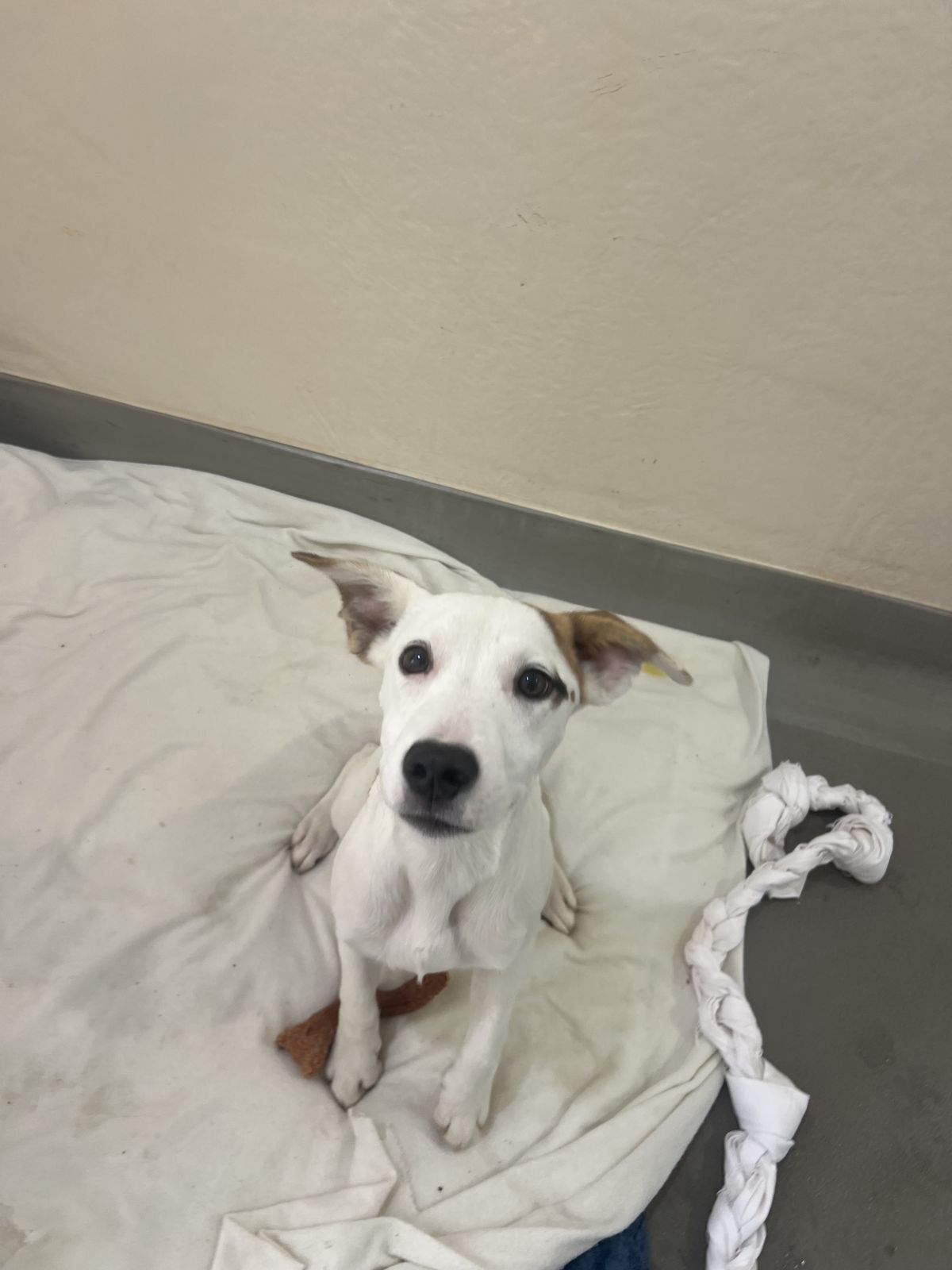 Gallery image: Mecca