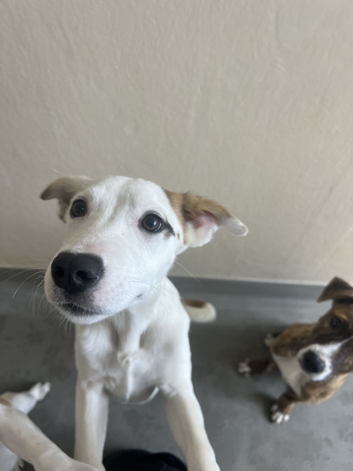 Gallery image: Mecca