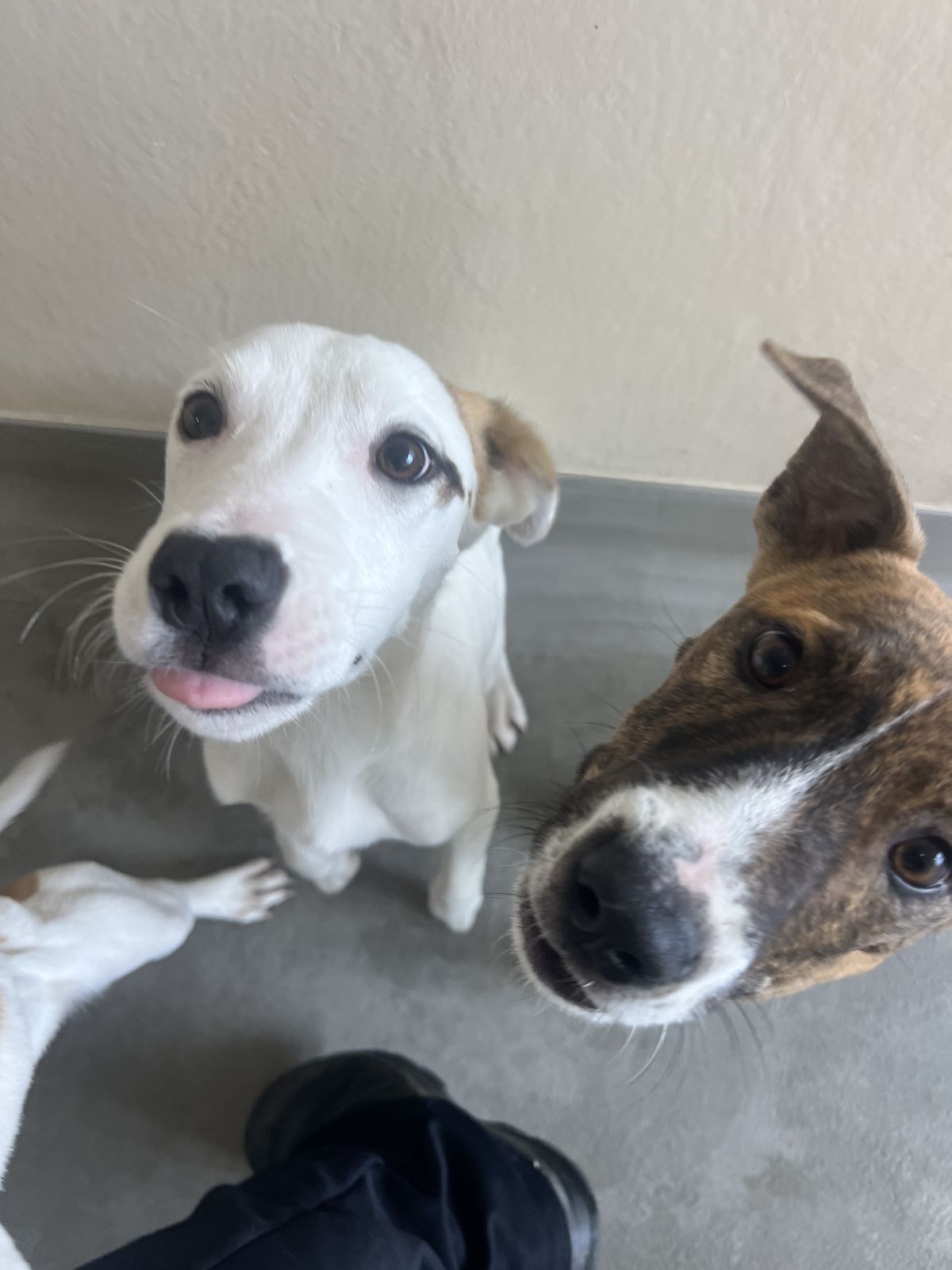 Gallery image: Mecca