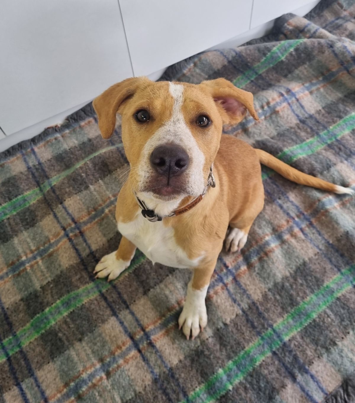 Gallery image: Billie