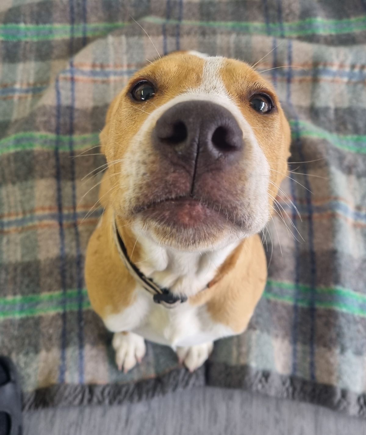 Gallery image: Billie