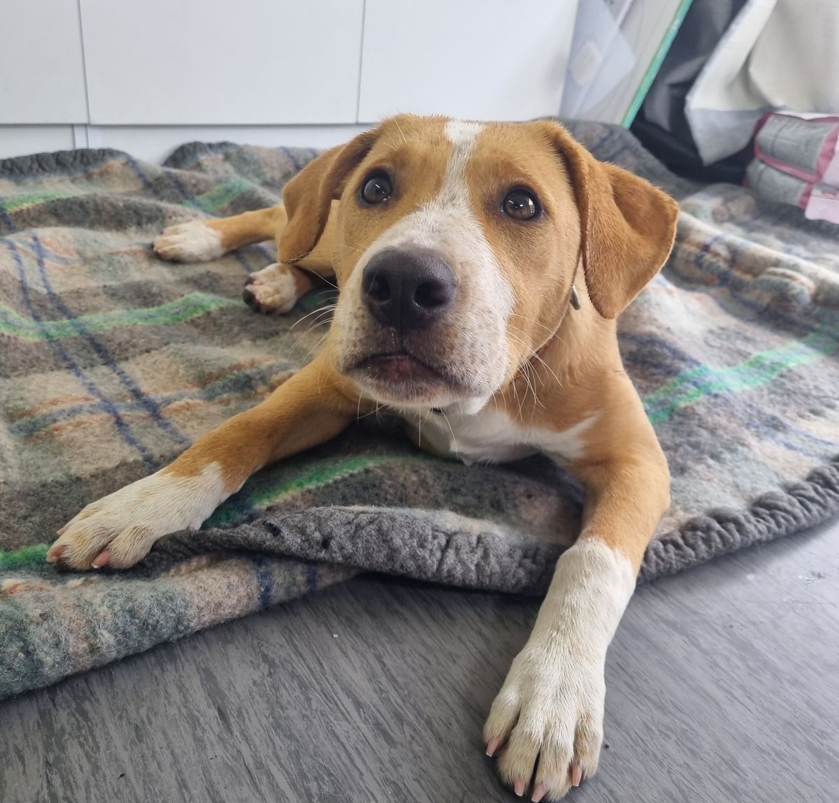 Gallery image: Billie