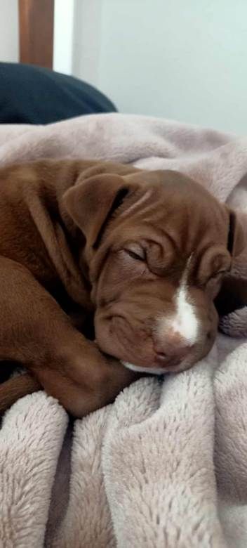 Gallery image: Faith