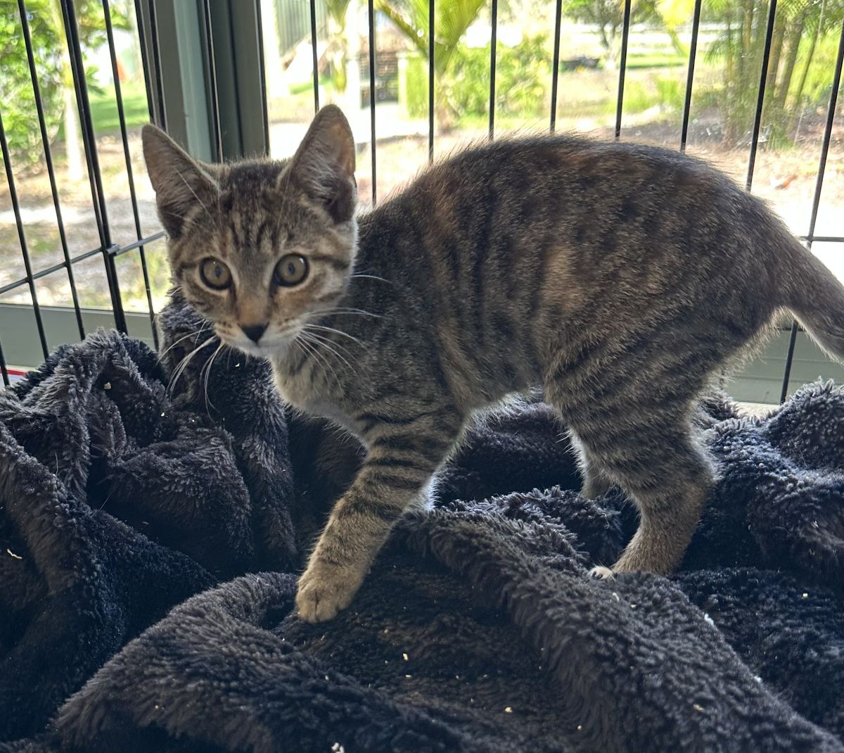 Gallery image: Abbie