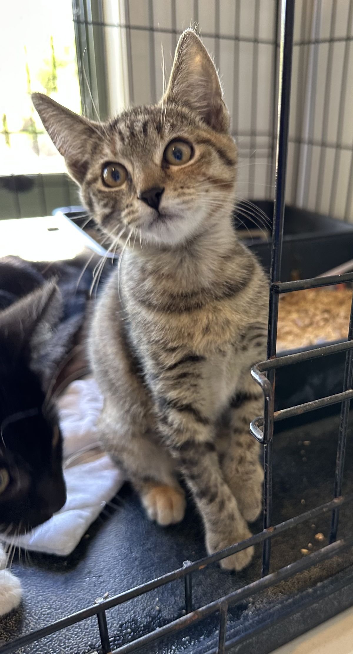 Gallery image: Abbie