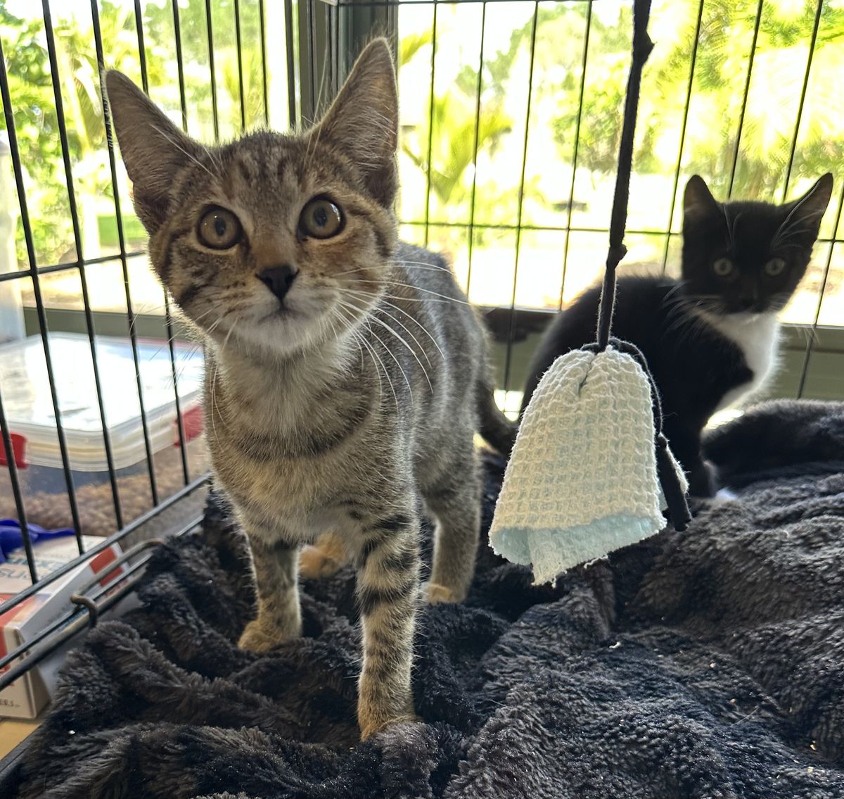 Gallery image: Abbie