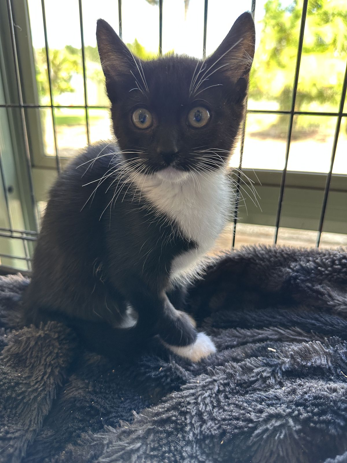 Gallery image: Angel