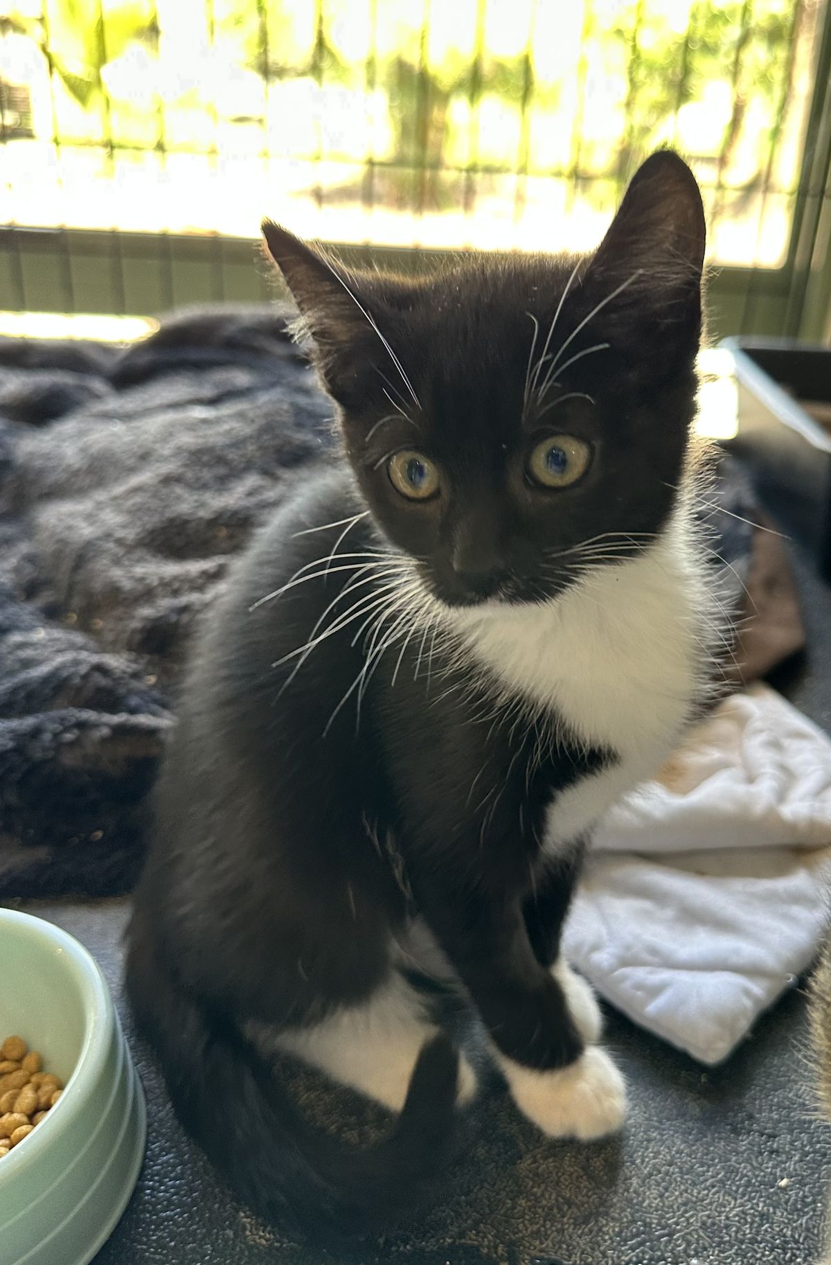 Gallery image: Angel