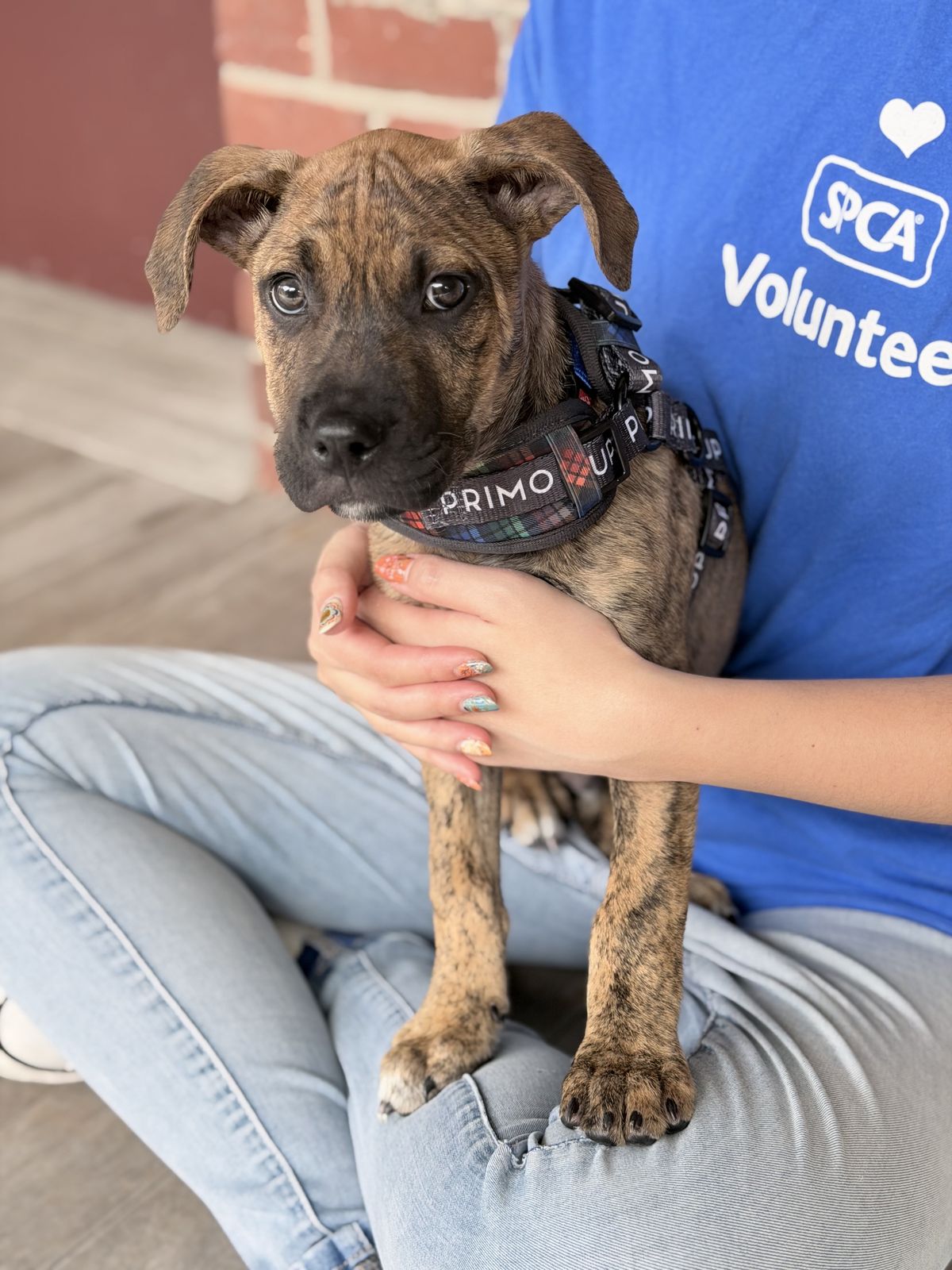 Gallery image: Kerberos