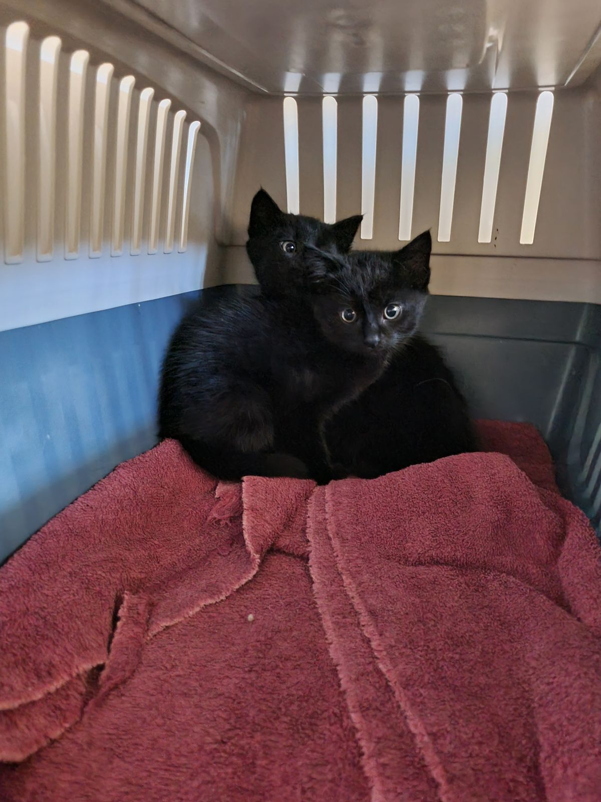 Gallery image: Lynne