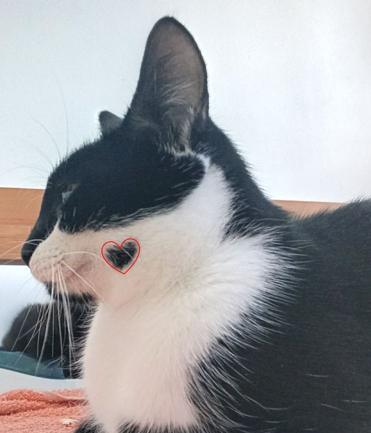 Gallery image: Harleen