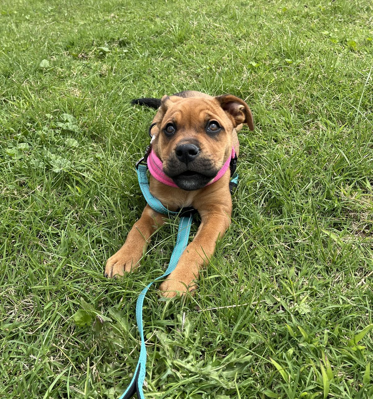 Gallery image: Aurora