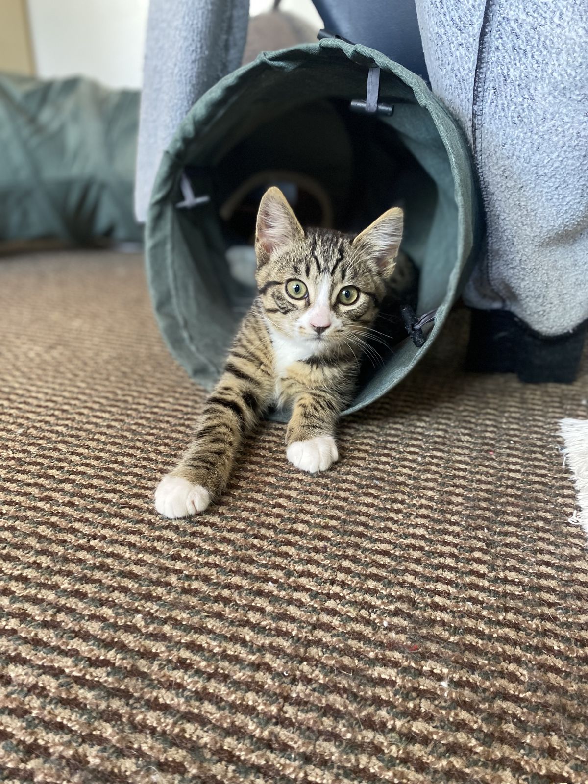 Gallery image: Boots