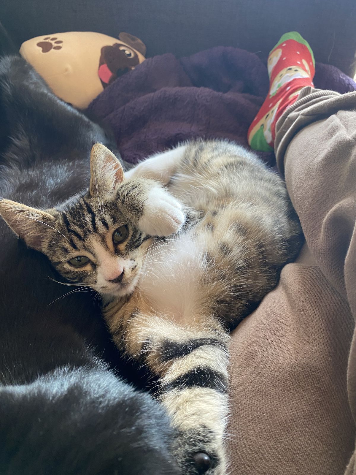 Gallery image: Boots