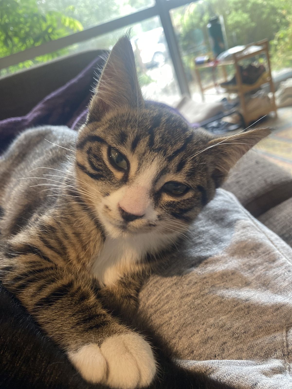 Gallery image: Boots