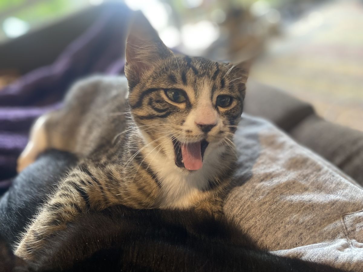 Gallery image: Boots