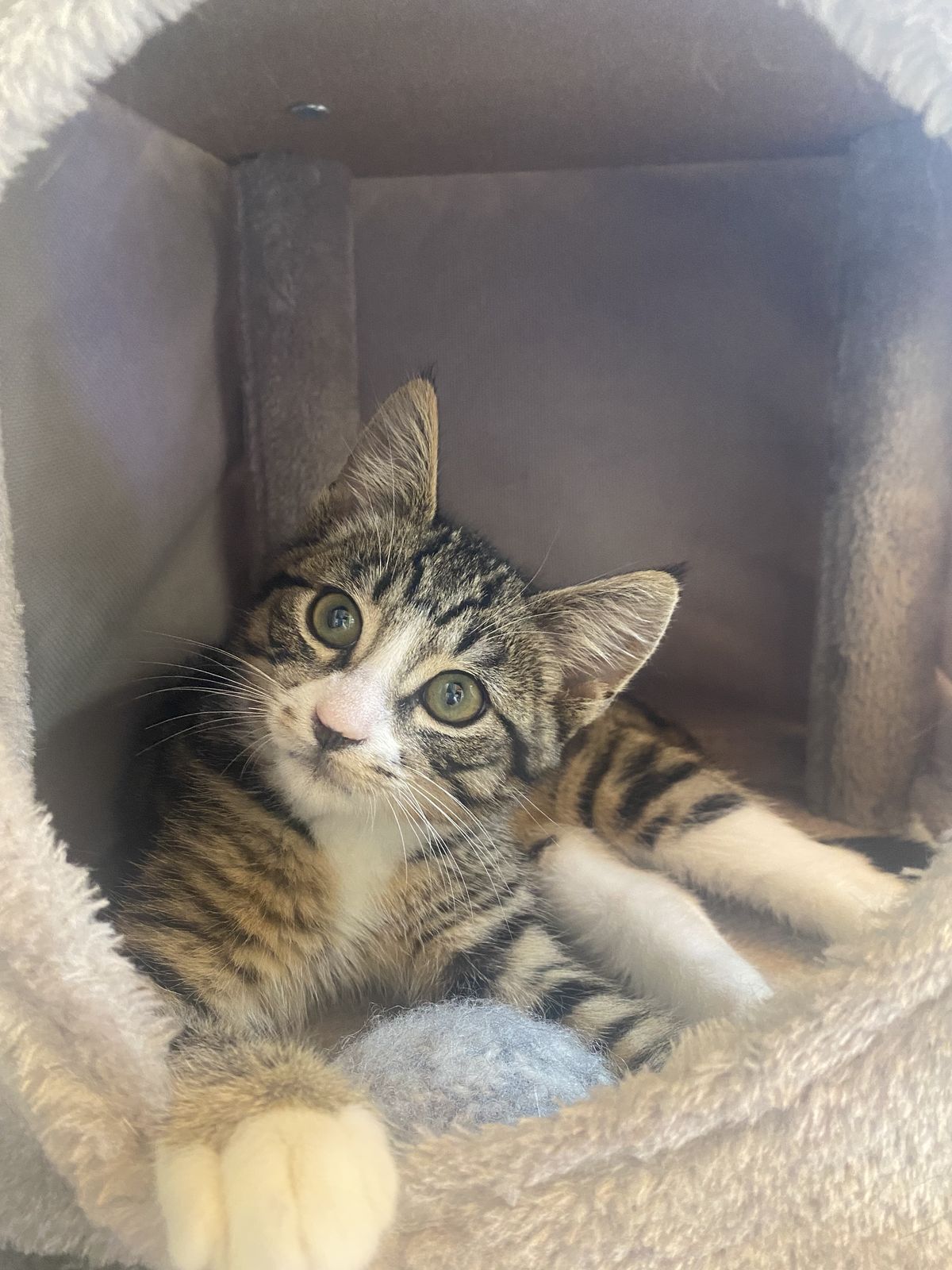 Gallery image: Boots