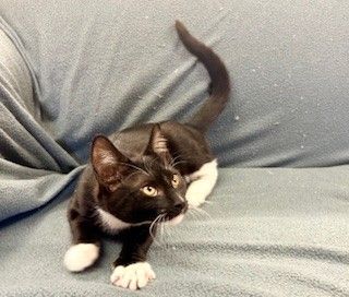 Gallery image: Bailey