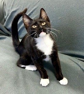 Gallery image: Bailey