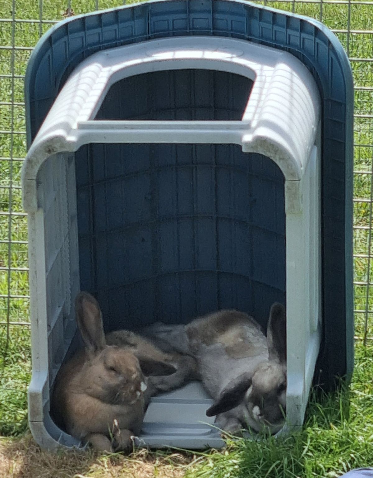 Gallery image: Tucker