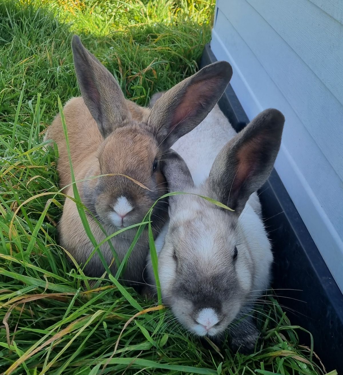 Gallery image: Sophia