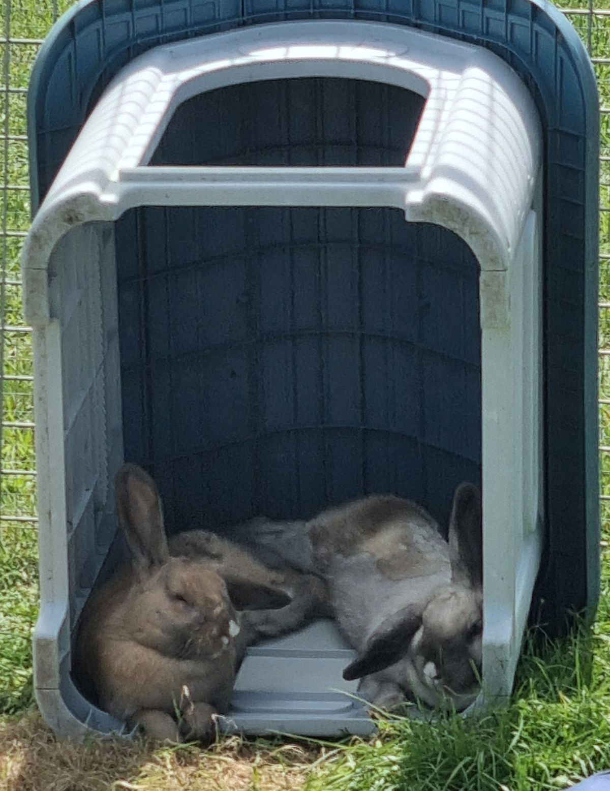 Gallery image: Sophia