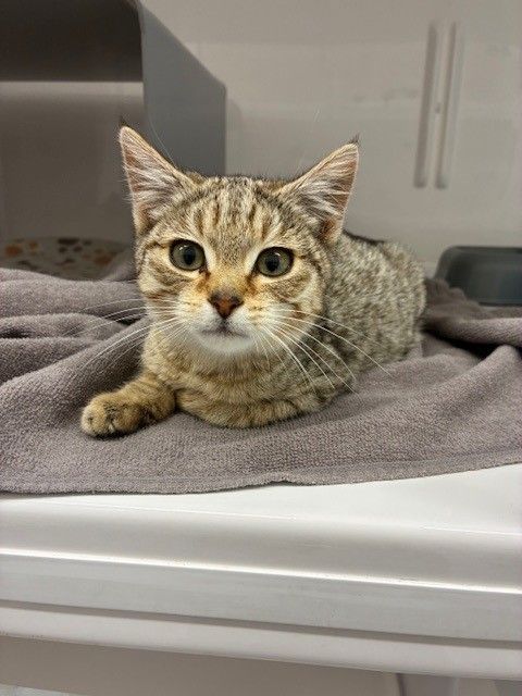 Gallery image: Winnie