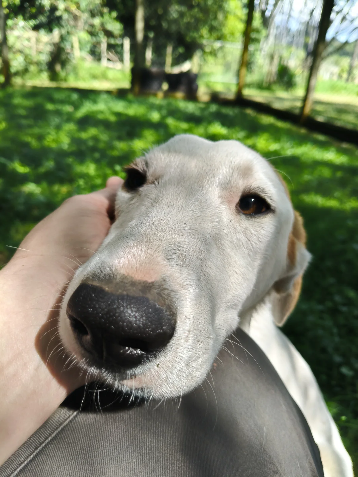 Gallery image: Chuck