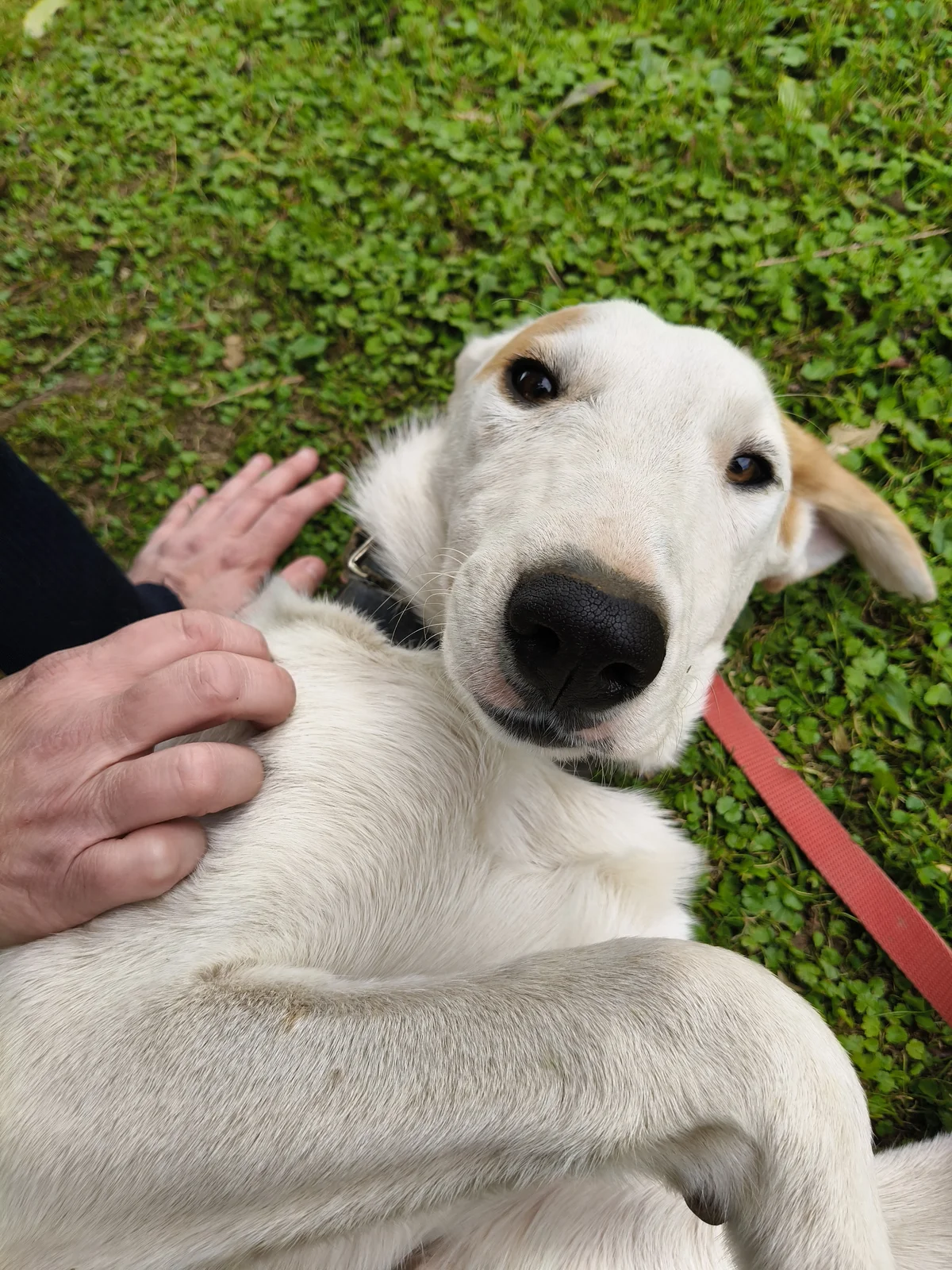 Gallery image: Chuck