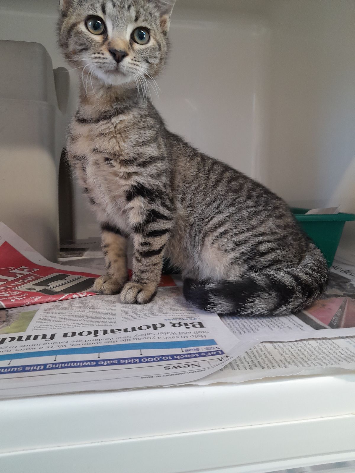 Gallery image: Lefty