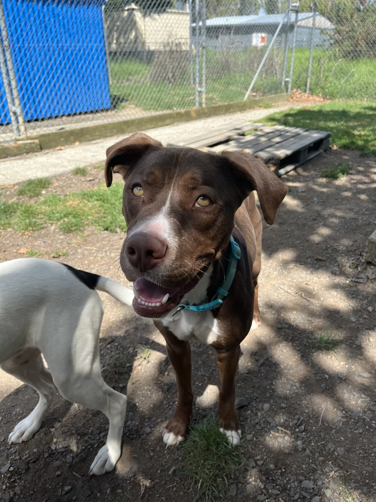 Gallery image: Titan