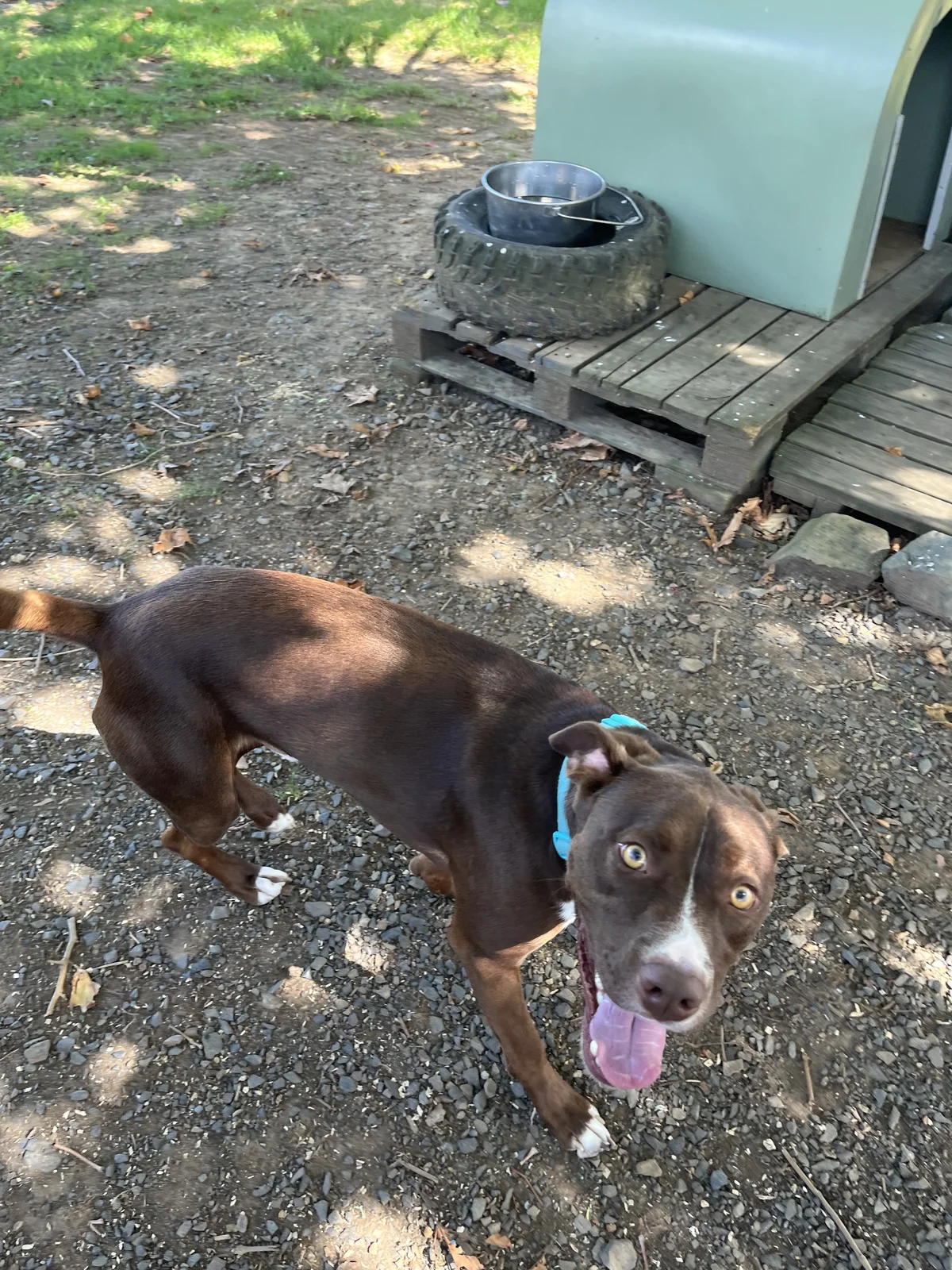 Gallery image: Titan