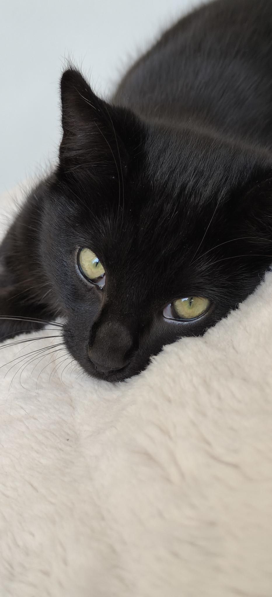 Gallery image: Jason Todd