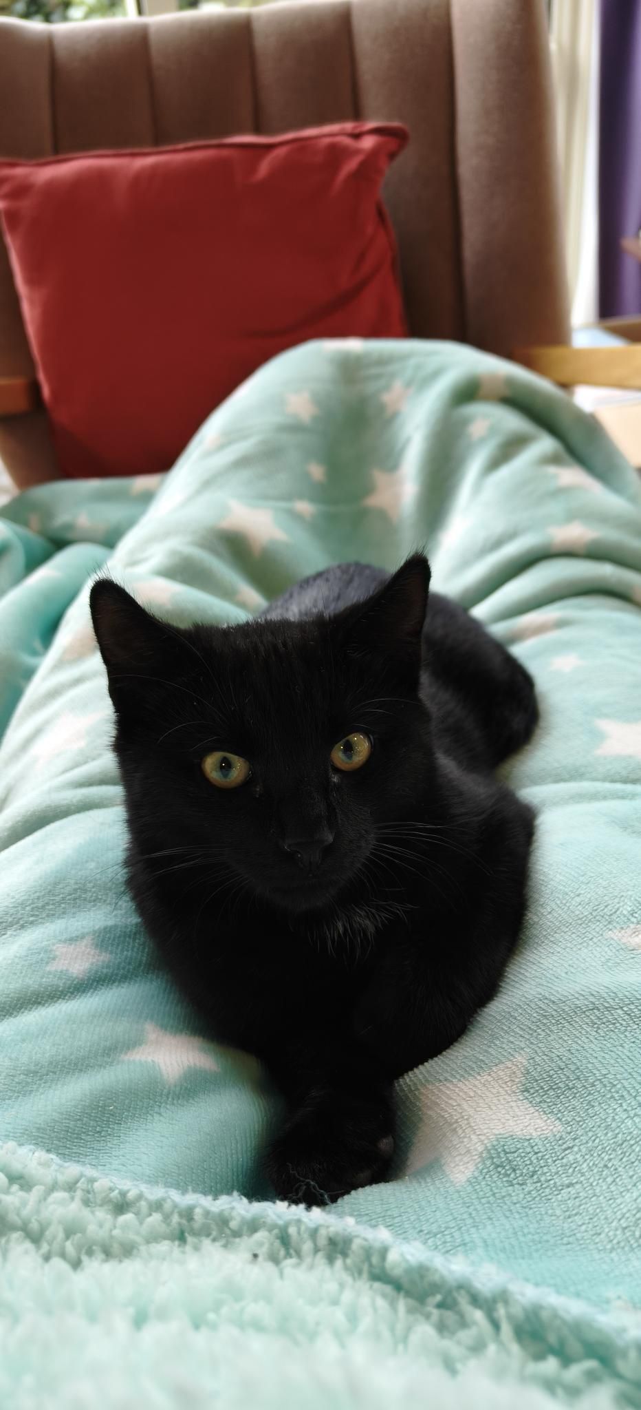 Gallery image: Jason Todd