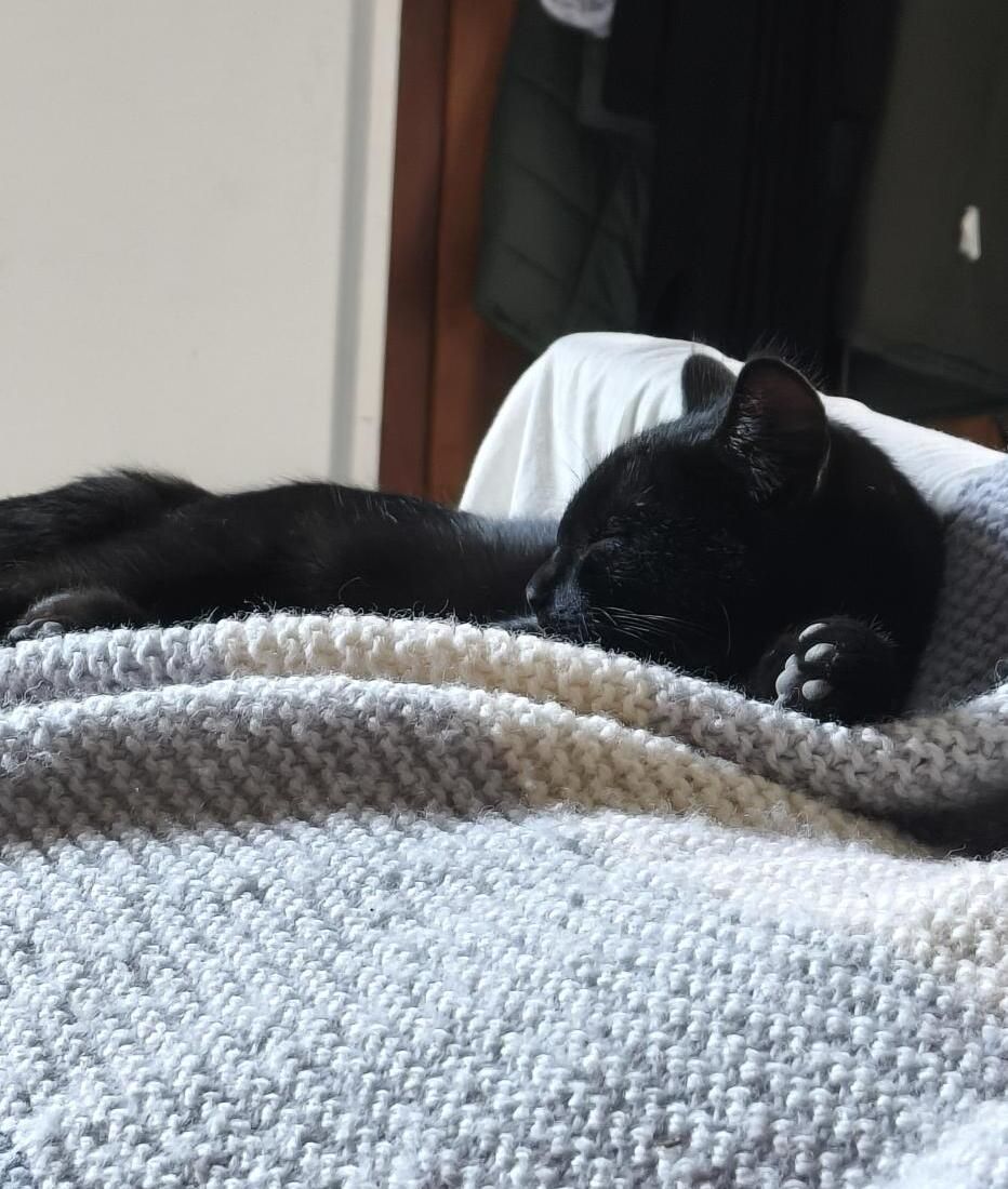 Gallery image: Jason Todd