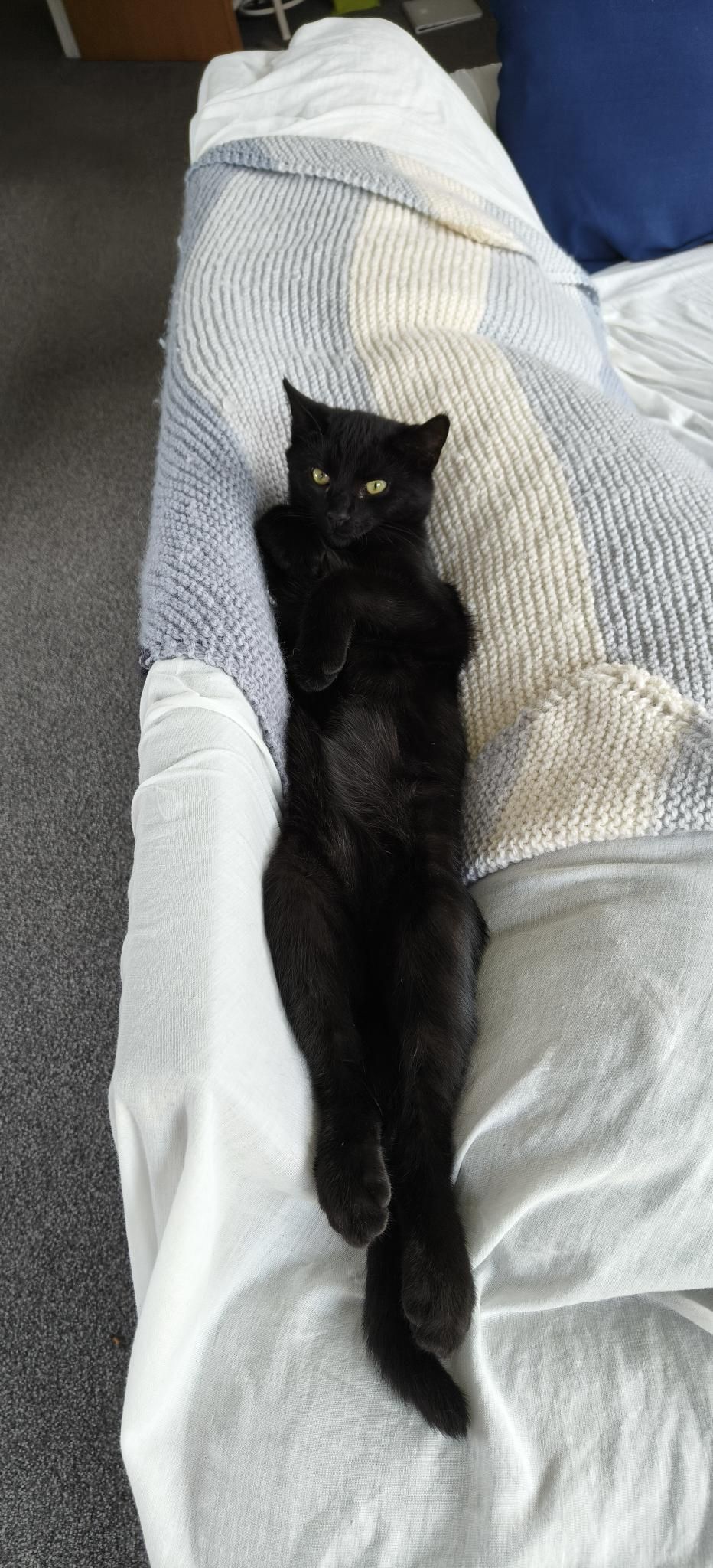 Gallery image: Jason Todd