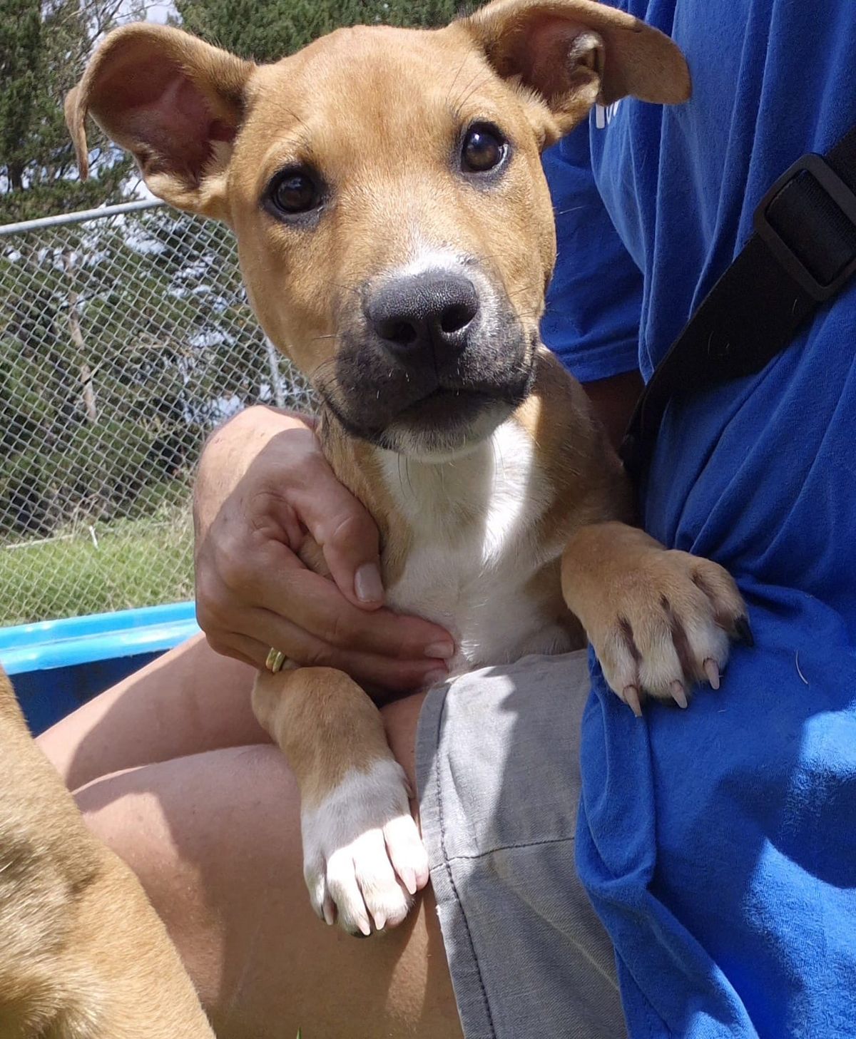 Gallery image: Possum