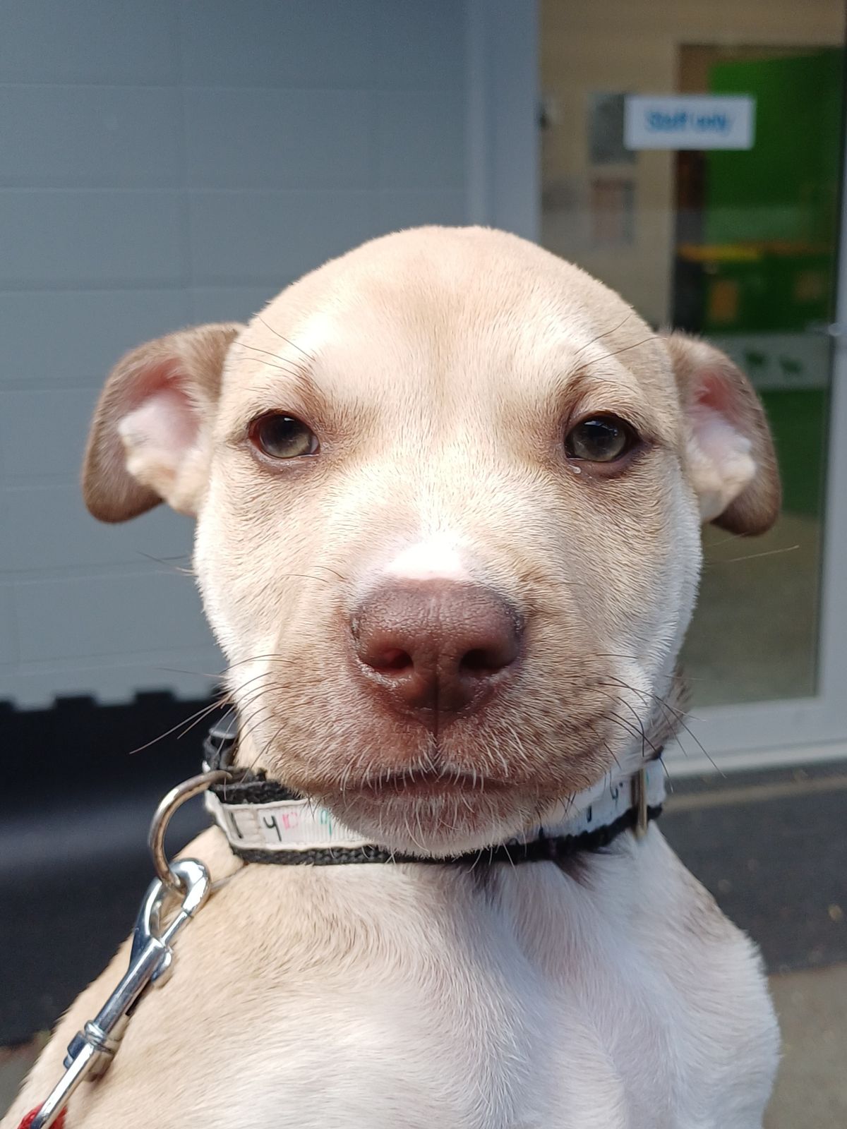 Gallery image: Johnny Boye