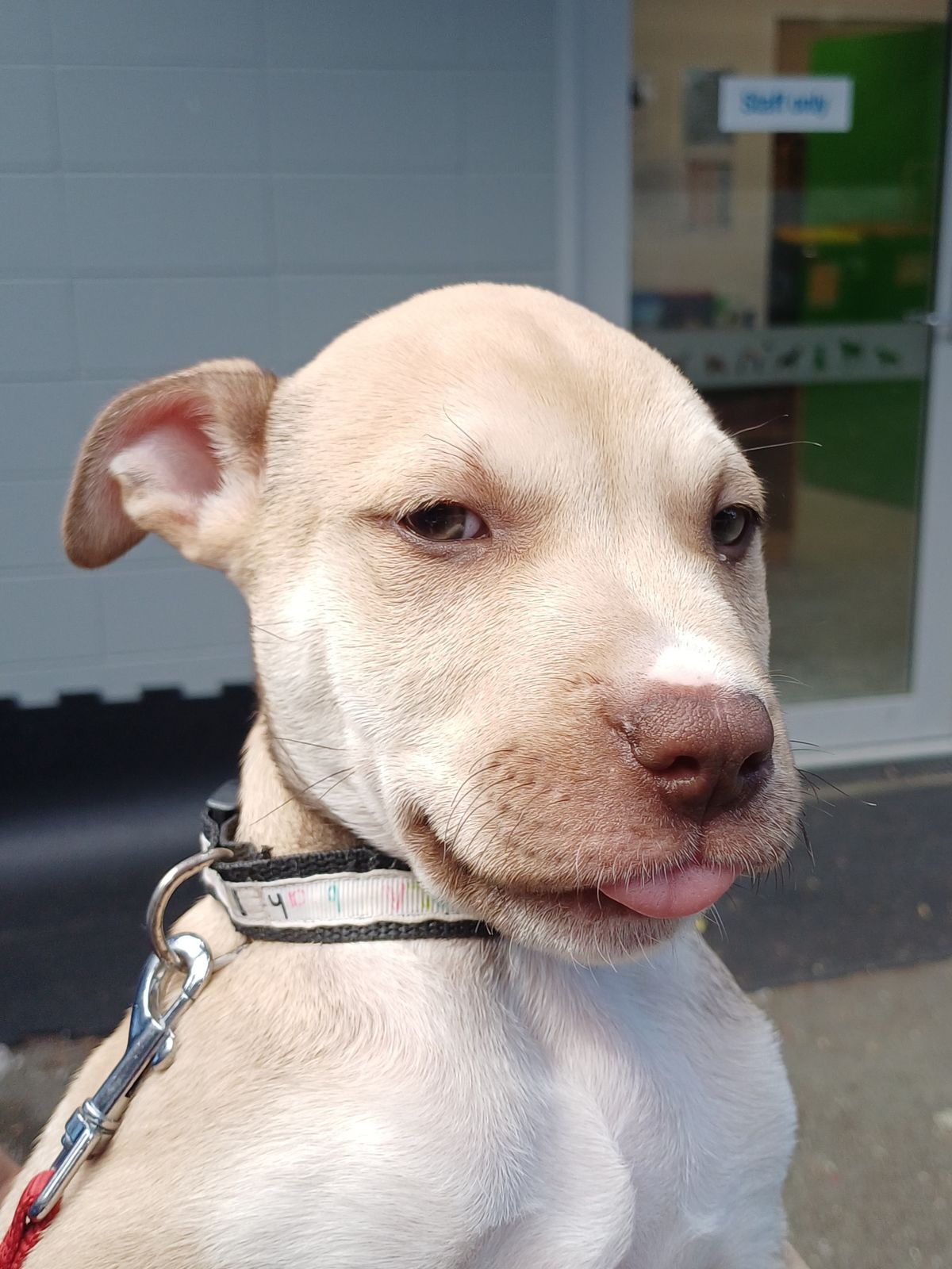 Gallery image: Johnny Boye