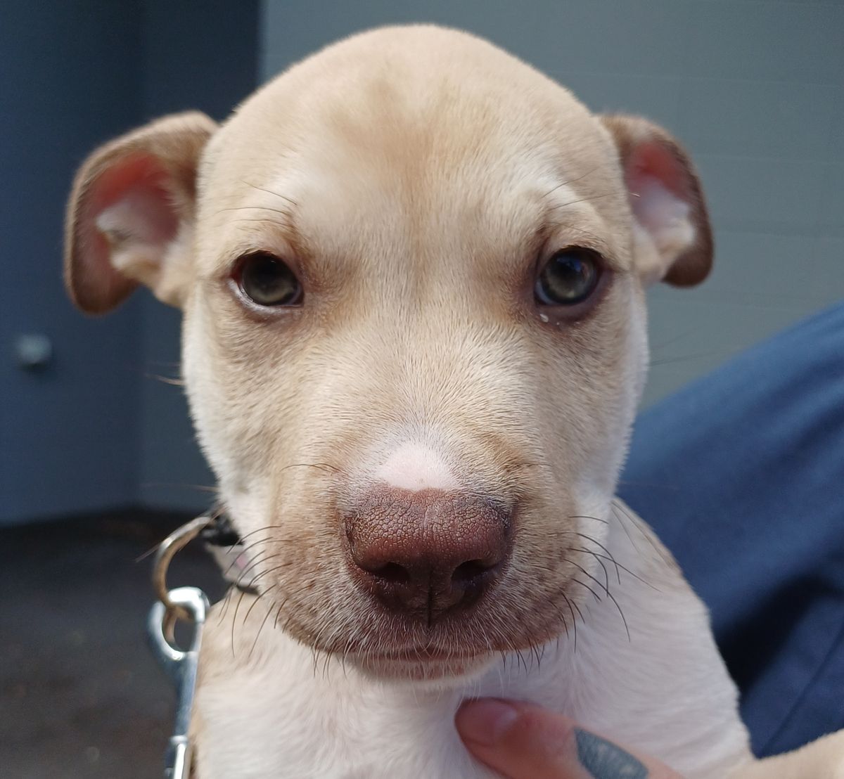 Gallery image: Johnny Boye