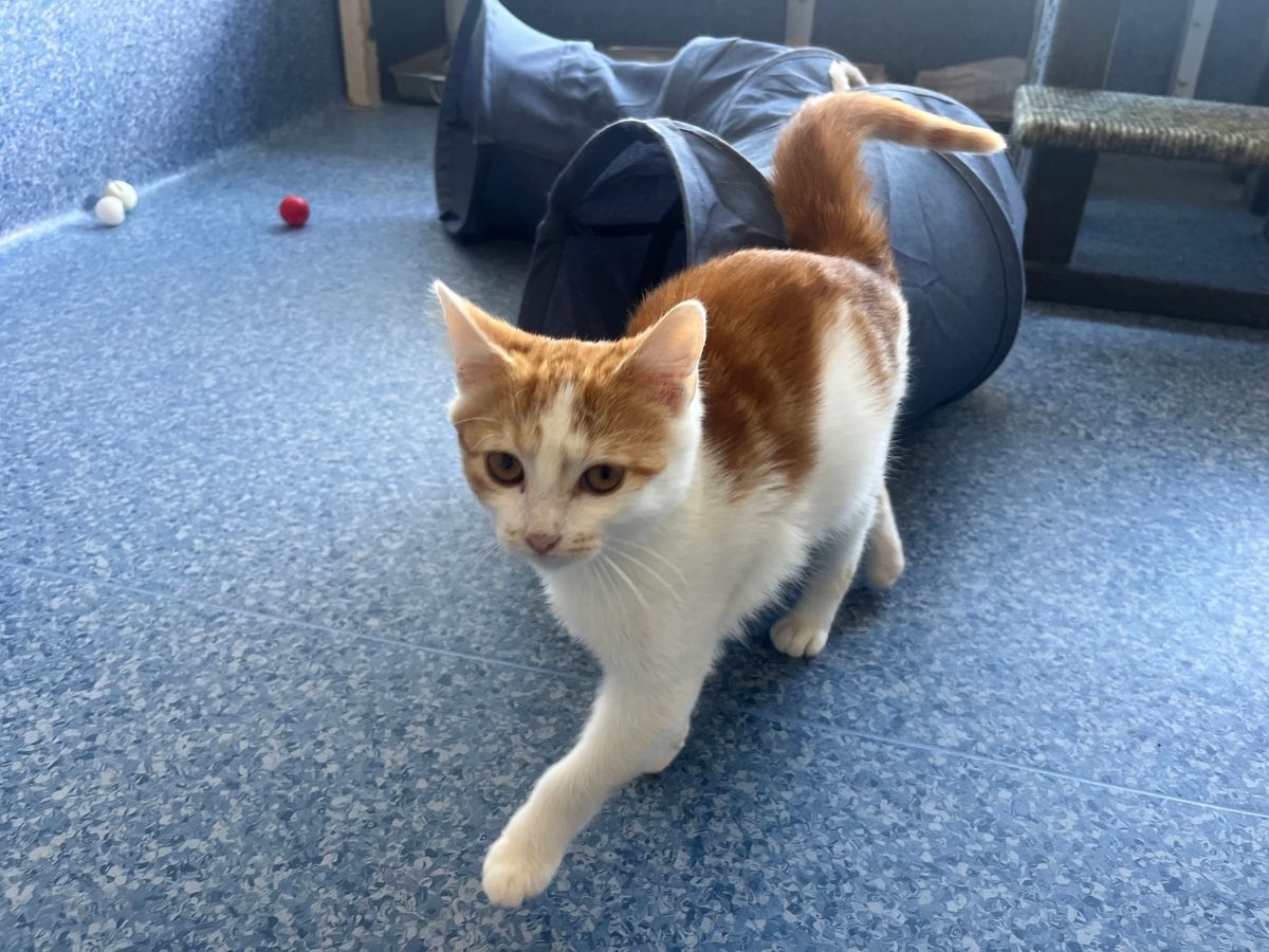 Gallery image: Hinata