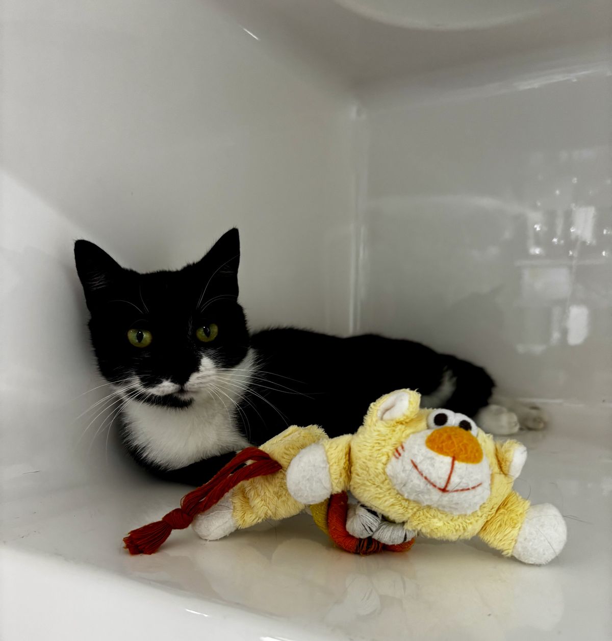 Gallery image: Mindy