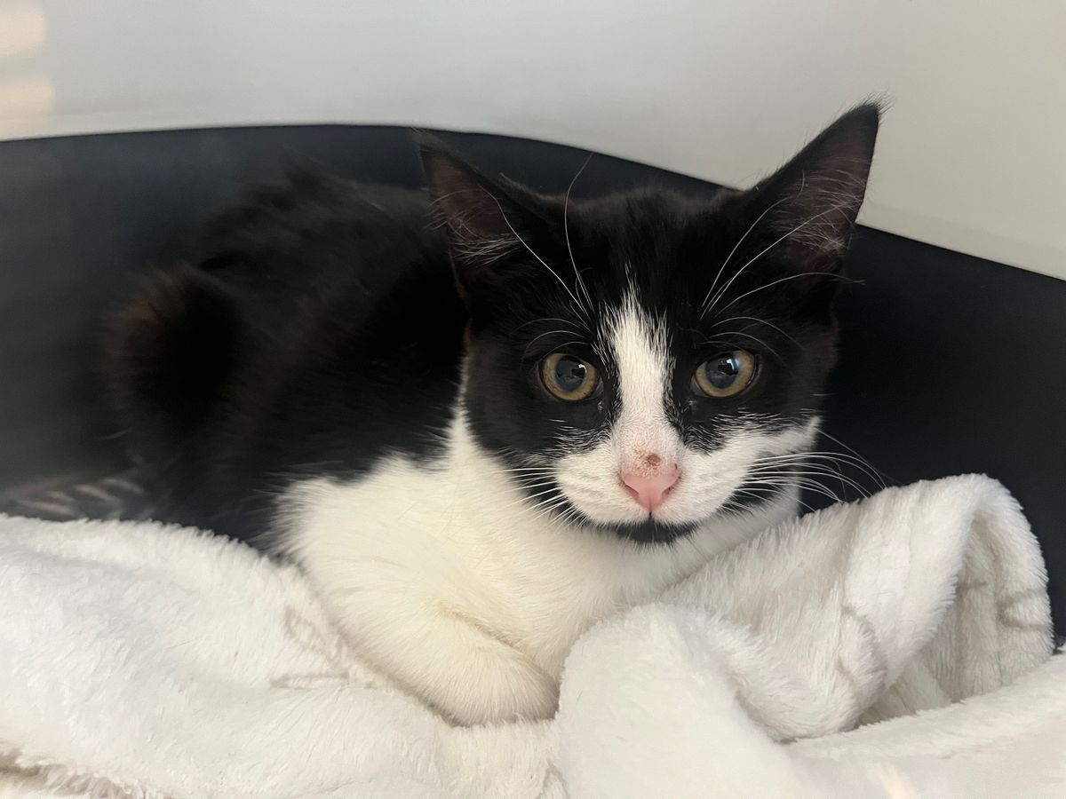 Gallery image: Anahera