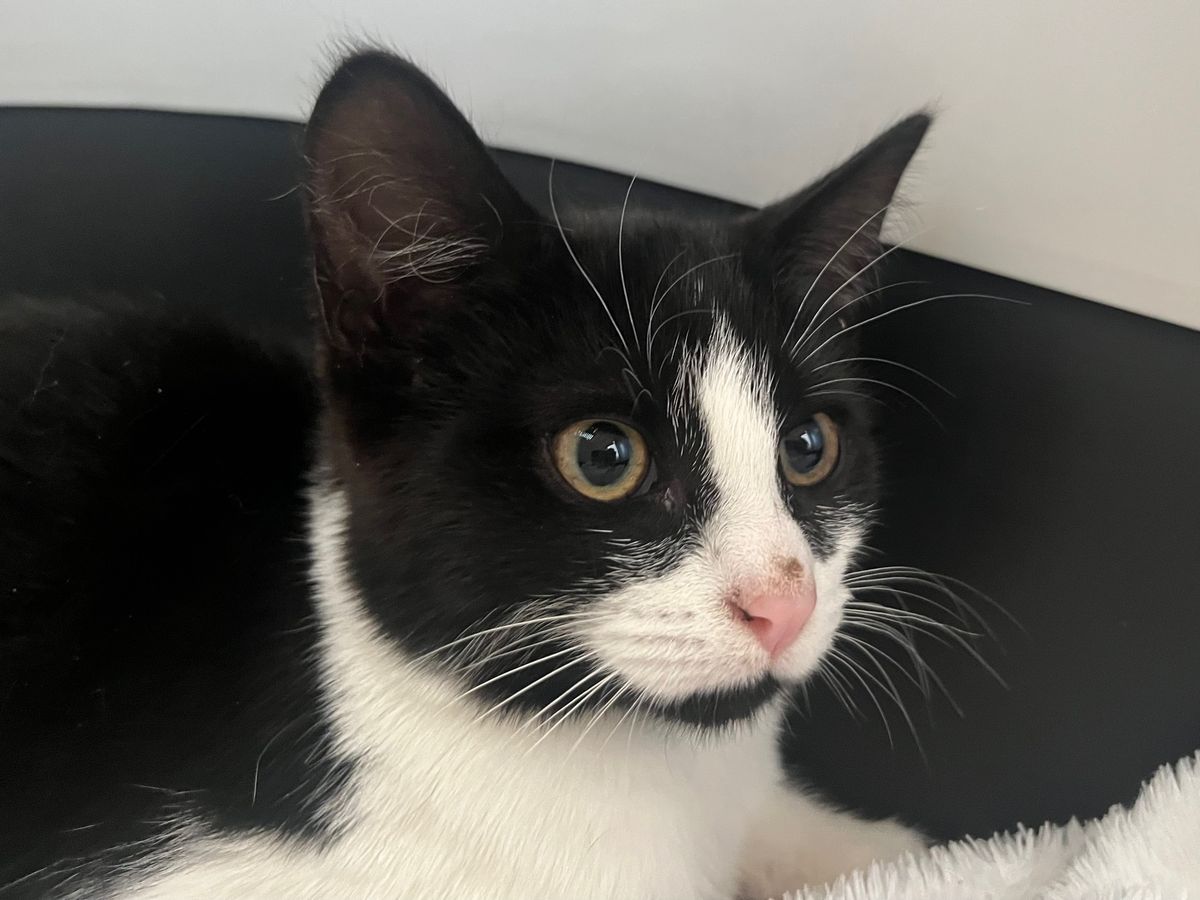 Gallery image: Anahera