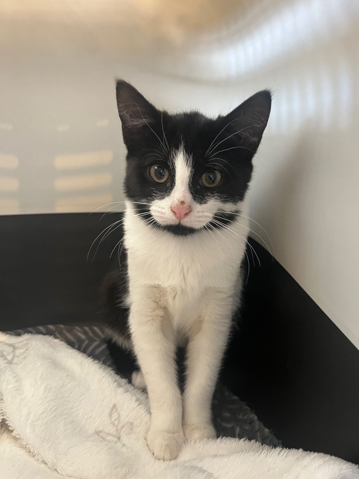 Gallery image: Anahera