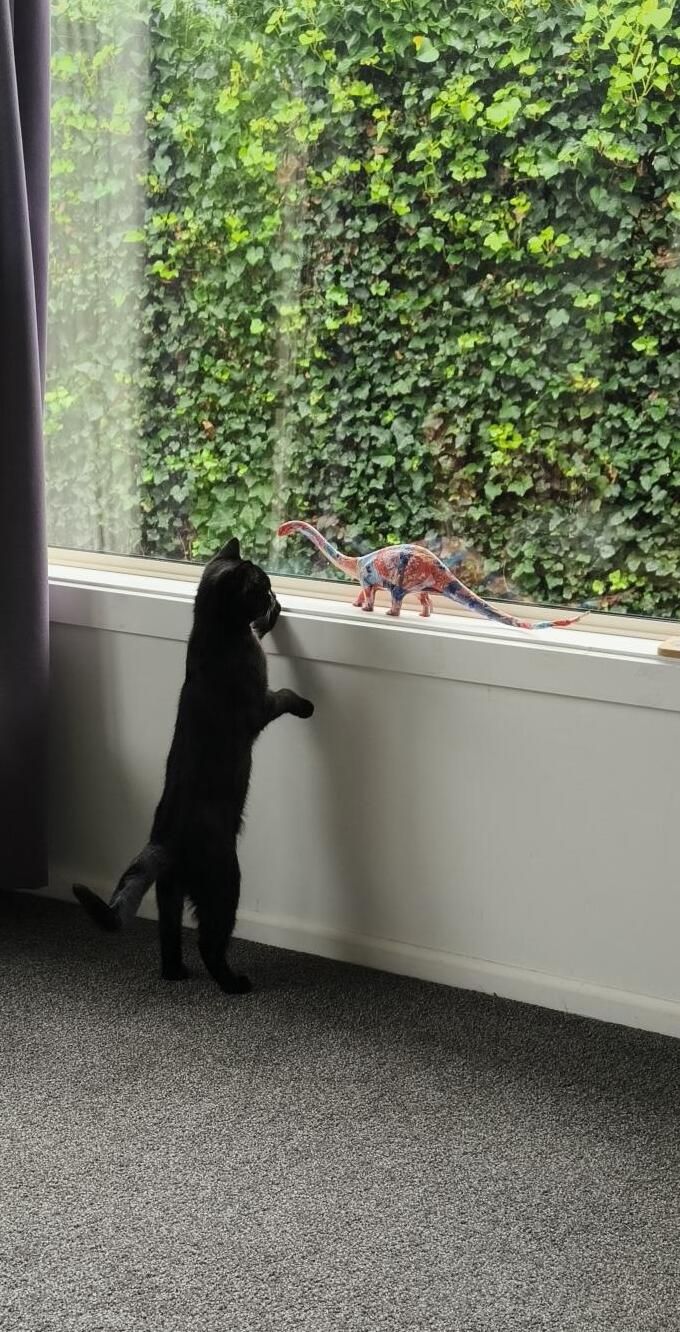 Gallery image: Jason Todd