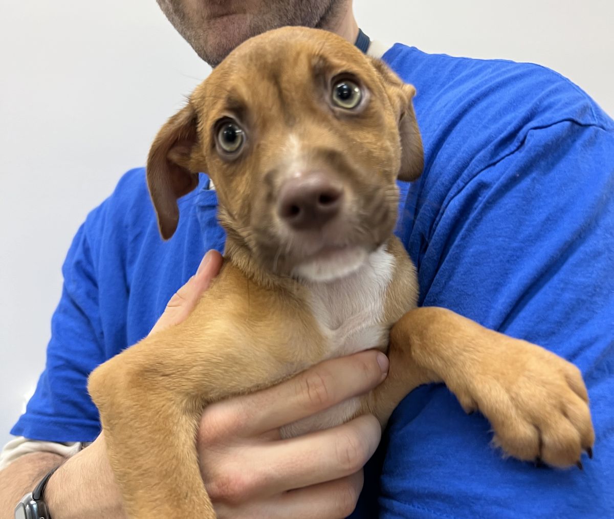 Gallery image: Colorado 