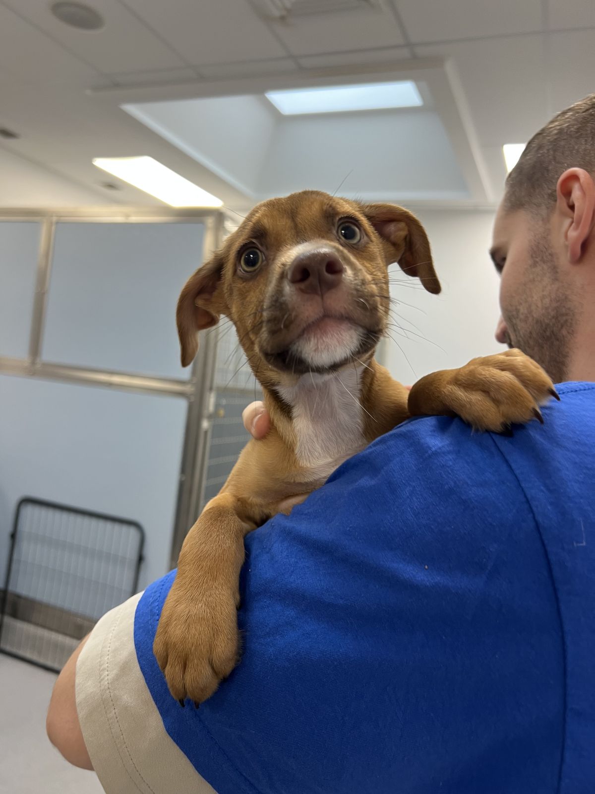 Gallery image: Colorado 