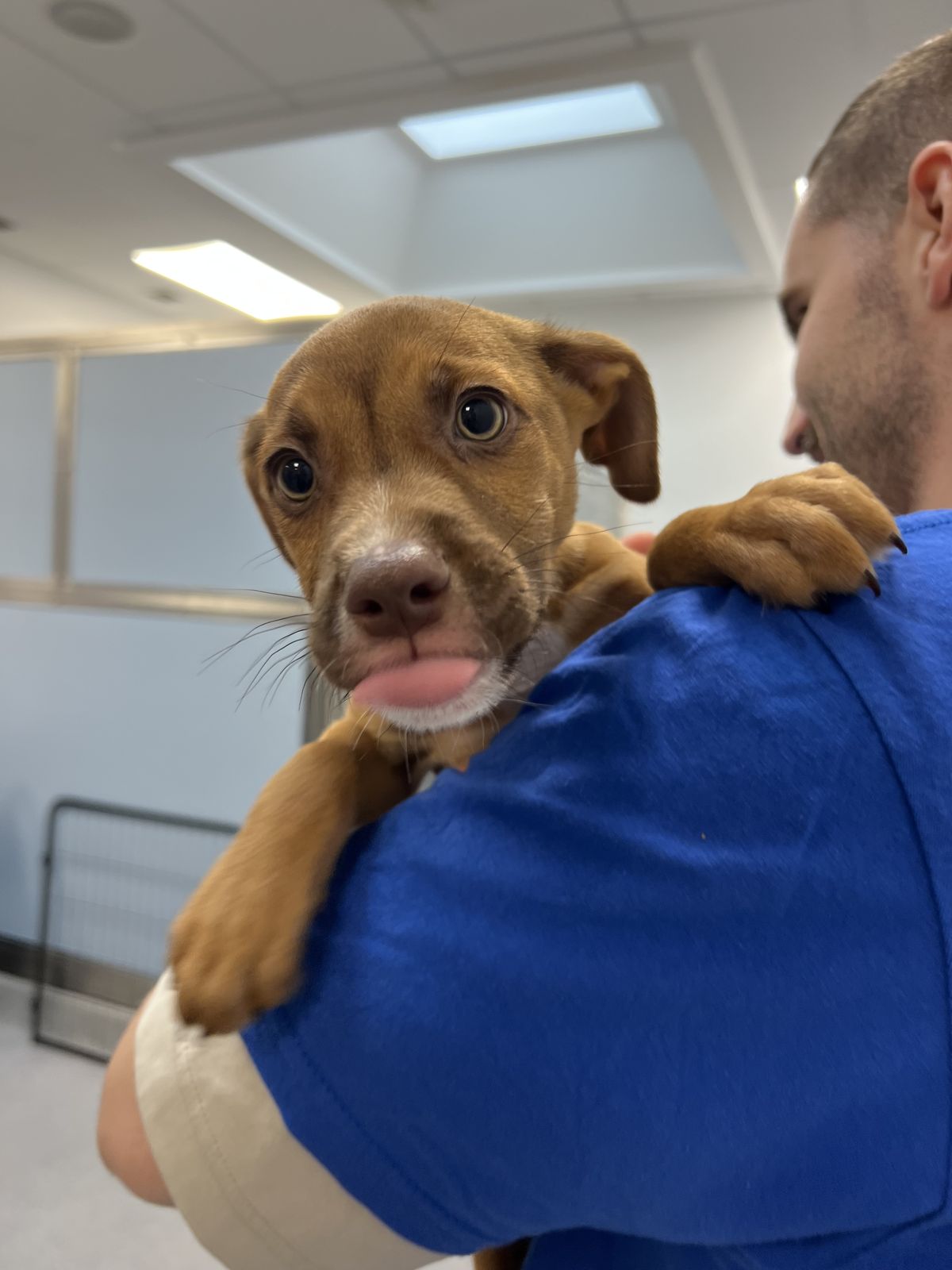 Gallery image: Colorado 