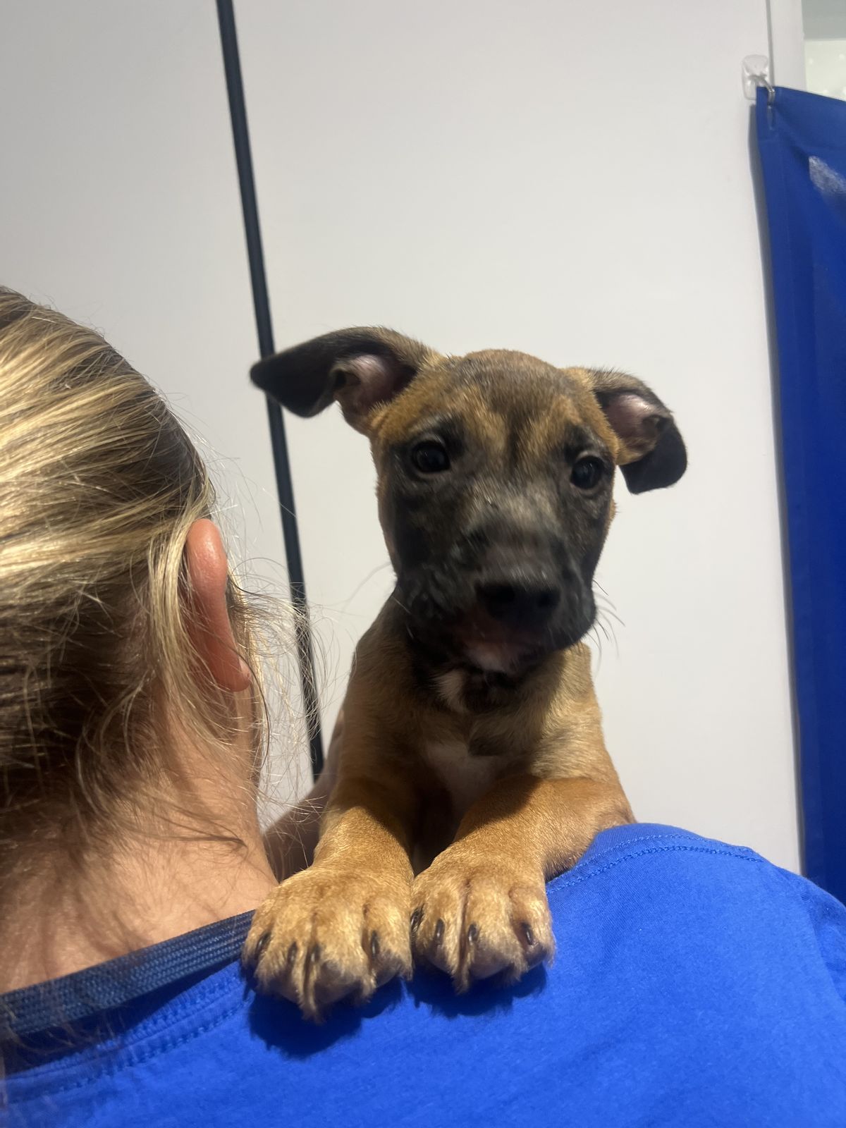 Gallery image: Tennessee 